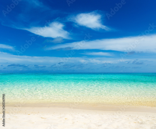 beach and tropical sea . nature background