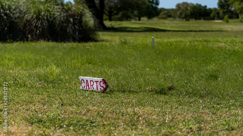 Golf Cart Sign