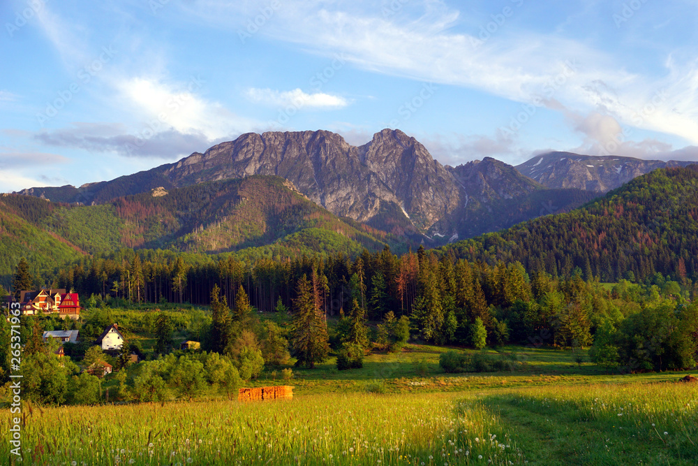 Obraz premium Giewont Mountain, one of the best known mountains in Polish Tatra Mountains
