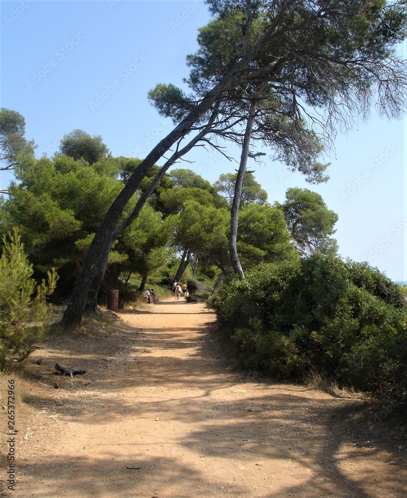 Fototapeta premium Bord de mer, iIe Sainte-Marguerite en France