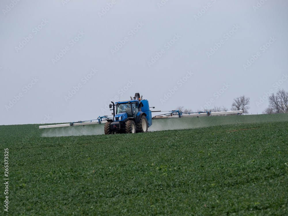 Fototapeta premium A blue tractor sprays pesticides on a green field. Blue tractor on field. 