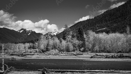 Hoh River And Mountains In Black & White