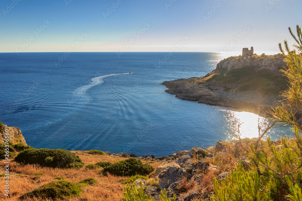 Salento coast: view of Uluzzo Bay with watchtower . - ITALY (Apulia) -Regional Natural Park Porto Selvaggio and Palude del Capitano is rocky and jagged, with pine forests and Mediterranean scrub.