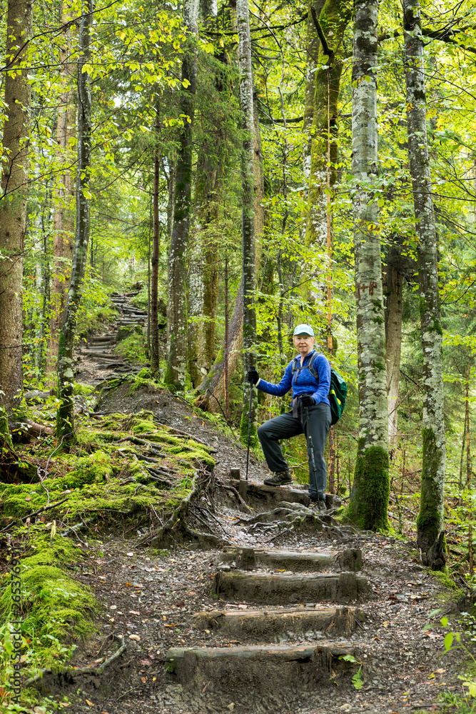 Female hiker climbing a series of logged wooden steps on a steep forest trail; Grainau, Bavaria, Germany Female hiker climbing a series of logged wooden steps on a steep forest trail; Grainau, Bavaria, Germany
