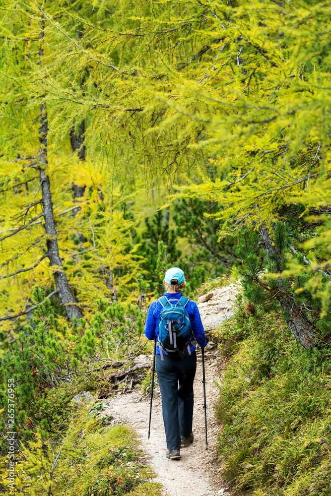 Female hiker along alpine trail with autumn colours; Sesto, Bolzano, Italy