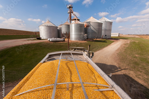Grain truck loaded with corn at grain dryer and bin complex during corn harvest, near Nerstrand; Minnesota, United States of America