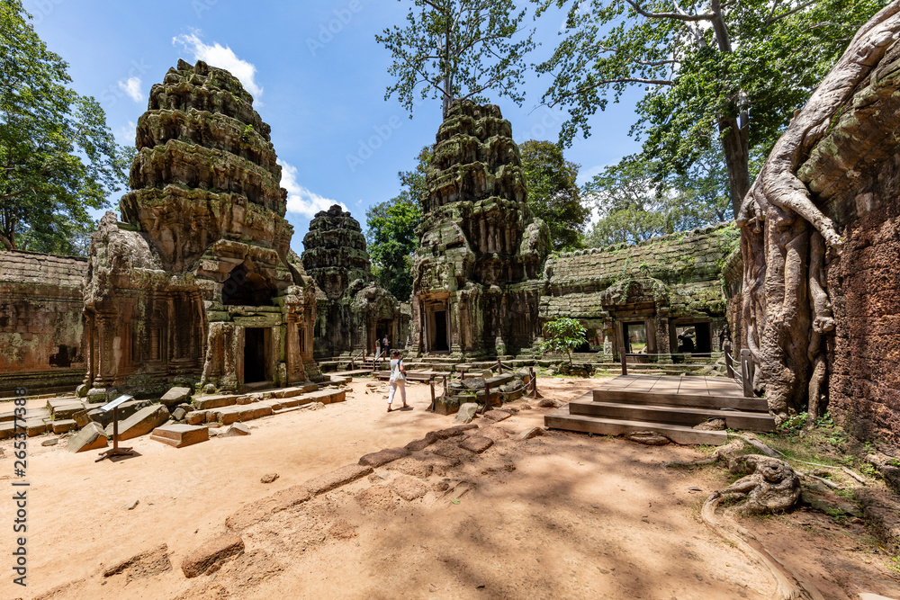 Huge strangler fig trees growwing inside the beautiful Ta Prohm temple, Siem Reap, Cambodia