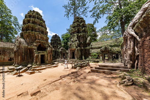 Huge strangler fig trees growwing inside the beautiful Ta Prohm temple, Siem Reap, Cambodia