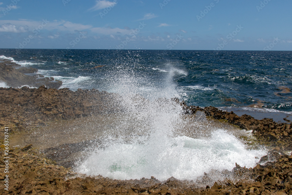 Sea water erupting from the blow hole