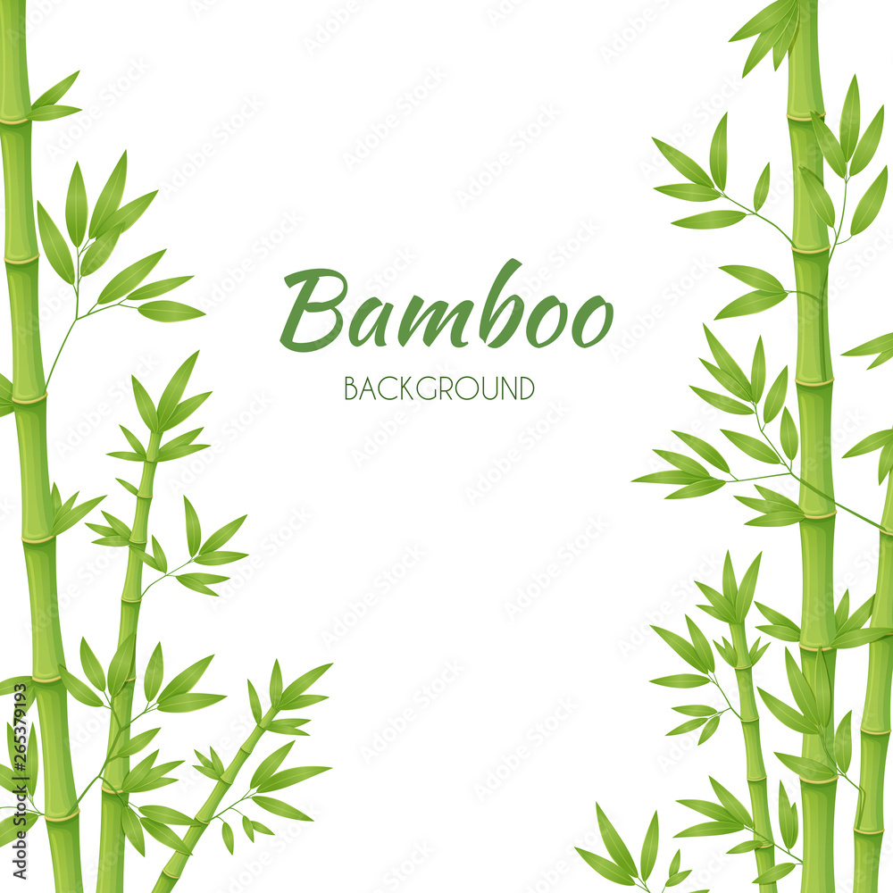 Fototapeta premium Green bamboo stems with green leaves on a white background. Vector illustration.