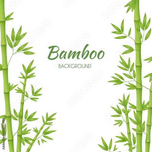 Fototapeta Naklejka Na Ścianę i Meble -  Green bamboo stems with green leaves on a white background. Vector illustration.