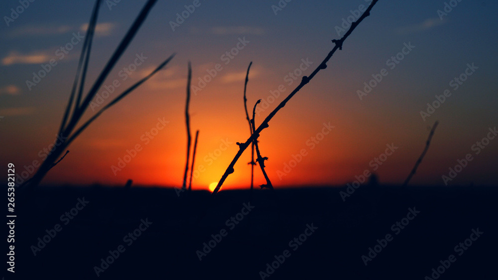 Fototapeta premium por do sol