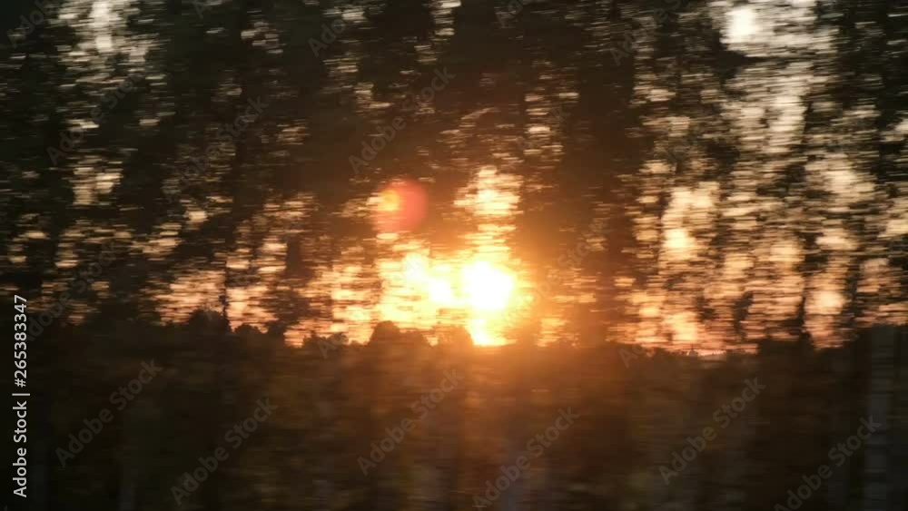 Train fast and the sun better shine through dithering trees