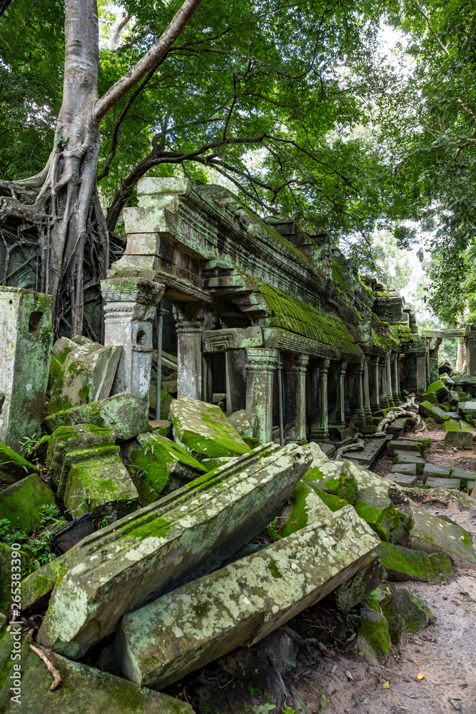 Beautiful wall overgrown with moss at Ta Prohm temple in Angkor Thom, Cambodia