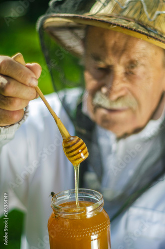 senior apiarist checking his honey in apiary