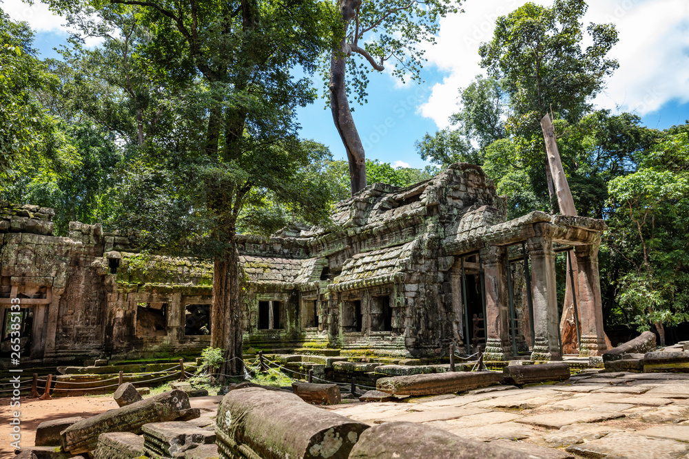 View of the stunning architecture at Ta Prohm temple in Siem Reap, Cambodia