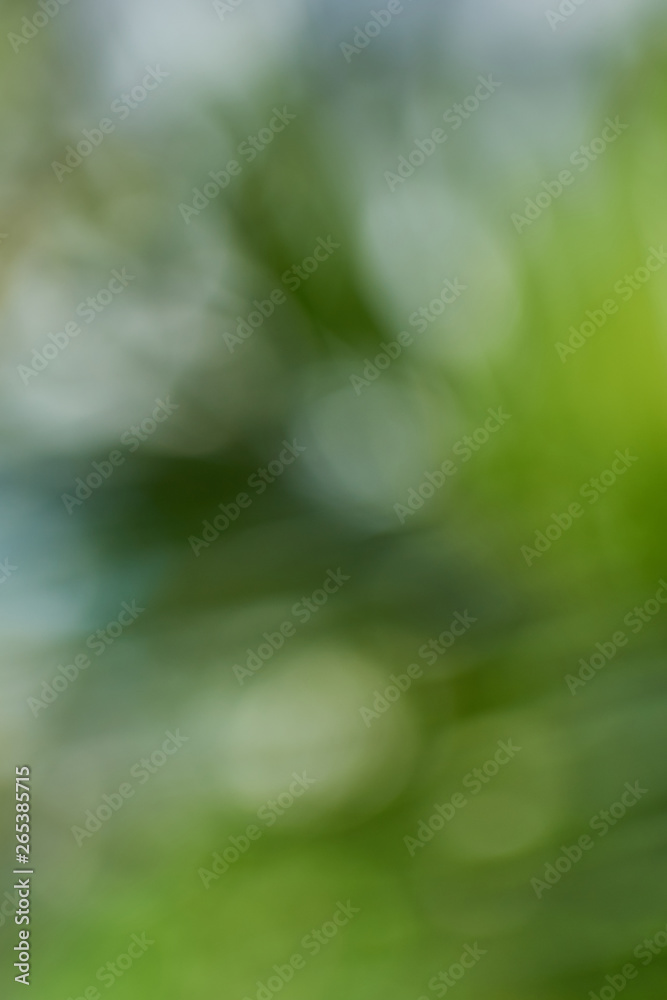 Blurred natural green background bokeh.