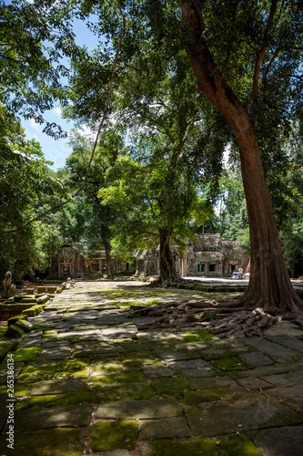 Ruins of the Ta Prohm temple complex visible behind the stunning forest canopy at Siem Reap  Cambodia
