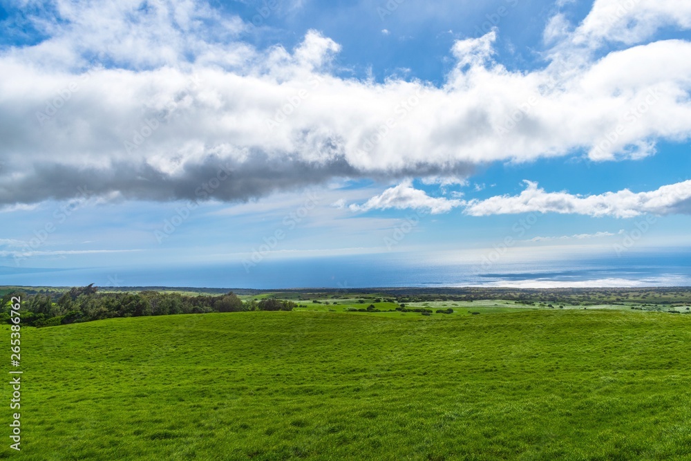 green field and blue sky