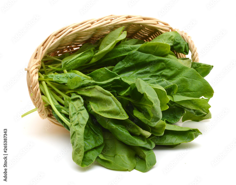Fresh leaves of spinach in basket Fresh leaves of spinach in basket