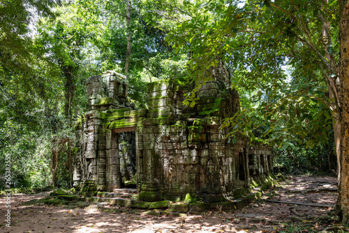 Ruins of the Ta Prohm temple complex visible behind the stunning forest canopy at Siem Reap, Cambodia © Michael Evans