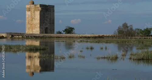 Medieva tower Carbonniere in the marshlands, Camargue, France photo