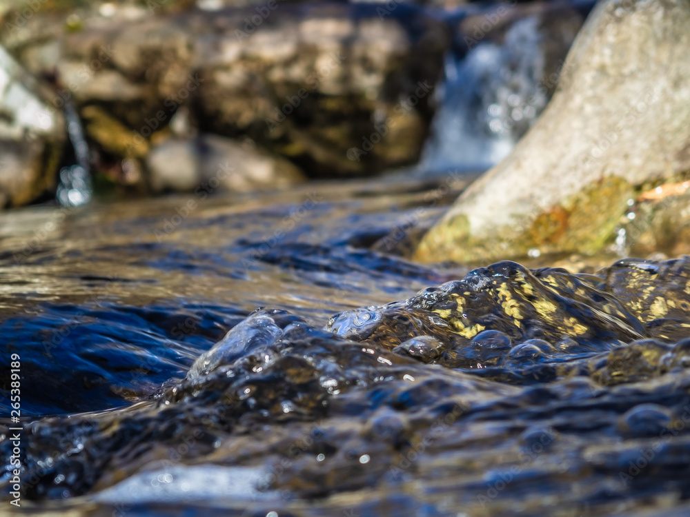 Crystal clear water, small mountain creek Crystal clear water, small mountain creek