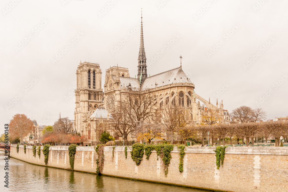 View of undamaged east facade of Notre Dame de Paris in autumn colors before the renovation work and fire, Paris, France