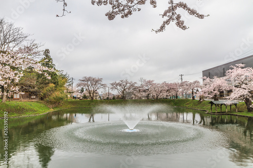 春の新庄城跡の風景