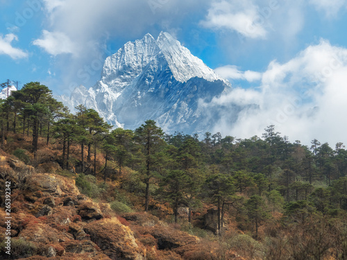 Mountain landscape. Forest in the foreground. Mount Thamserku, Everest region, Nepal photo