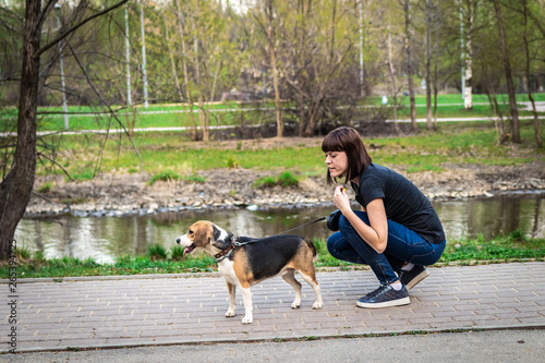 Woman is training her cute female beagle dog on nature background.