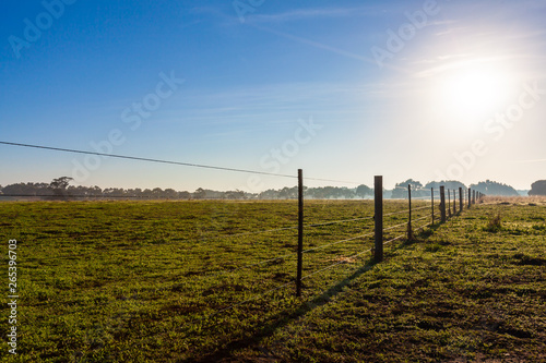 Pasture fence disappearing in the distance in early morning