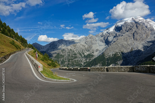 Sharp hairpin turn leads up the grassy mountain in the stunning sunlit Dolomites