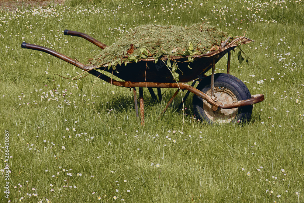 Garden cart with freshly cut green grass large t on the lawn. Garden works Garden cart with freshly cut green grass large t on the lawn. Garden works