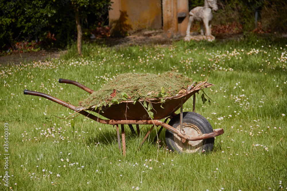 Garden cart with freshly cut green grass large t on the lawn. Garden works Garden cart with freshly cut green grass large t on the lawn. Garden works
