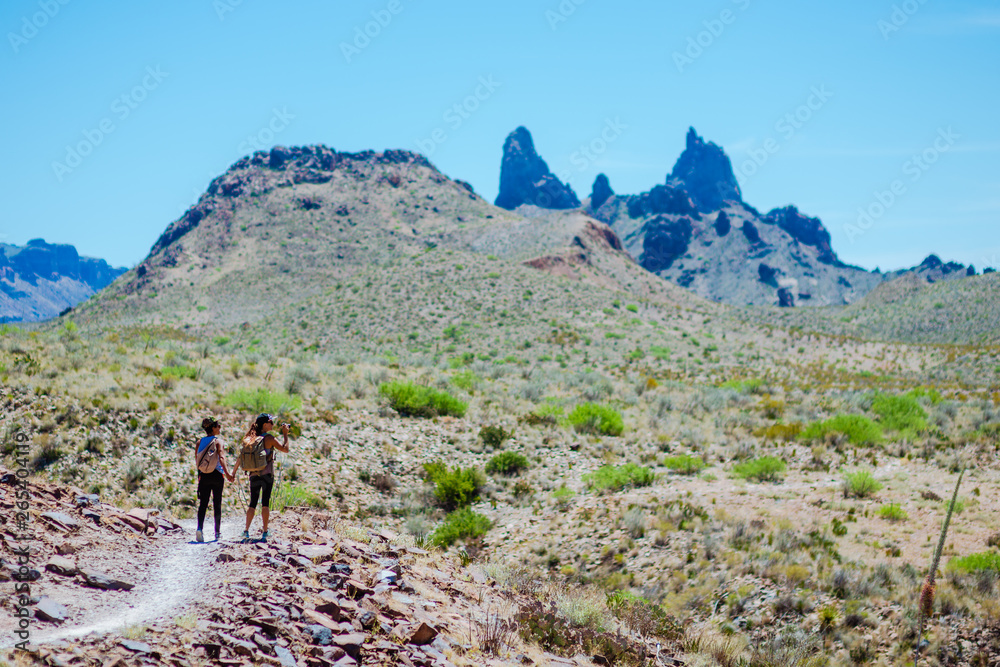 Hikers in the Desert