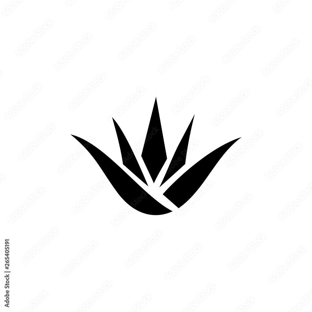 Aloe vera plant icon isolated white background Aloe vera plant icon isolated white background