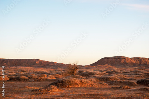 Golden deserts and hills at sunrise.