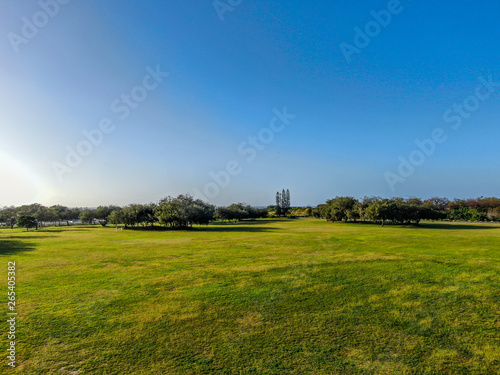 aerial landscape with green field and blue sky park trees shadow in Australia Gold Coast