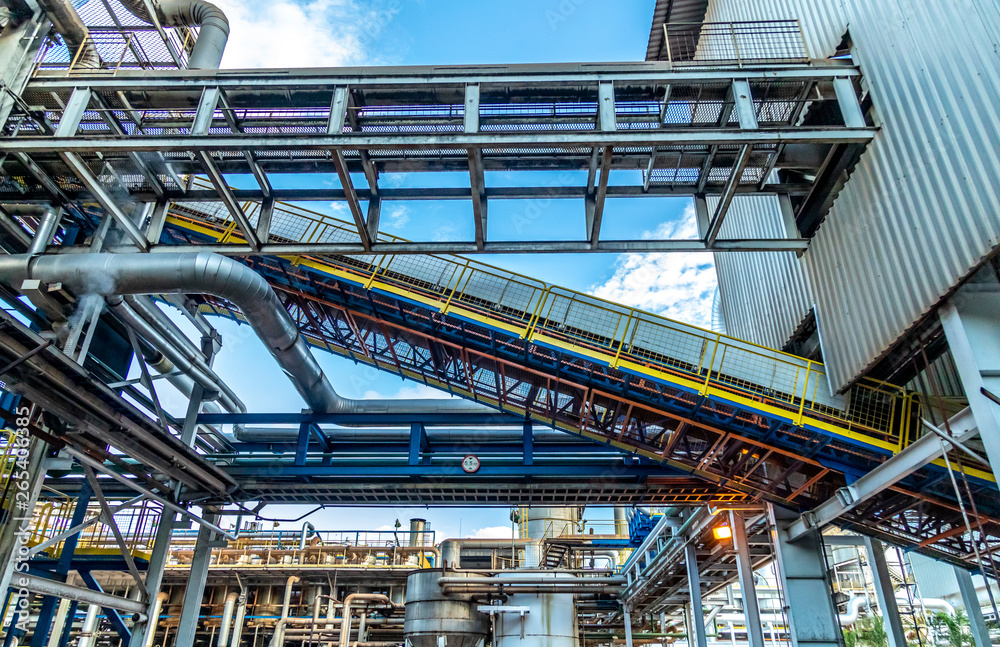 Industrial sugar conveyor production line factory cane bagasse Industrial sugar conveyor production line factory cane bagasse