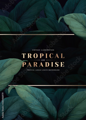 Tropical foliage background
