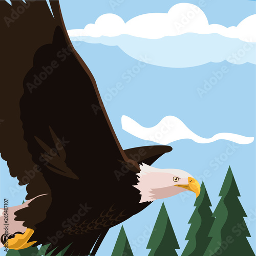 beautiful bald eagle flying in the landscape photo