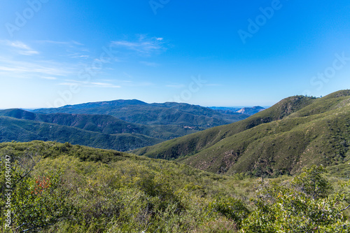 Palomar Mountain, CA