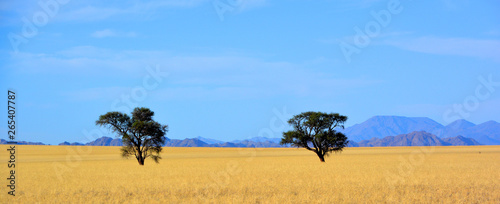 Landscape of  Namib-Naukluf...