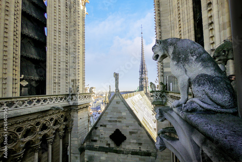 Authentic spire and wood roof of Notre Dame Cathedral from above in 2018 before of fire damage and restoration. The 19th-century spire with 800-year-old heritage was destroyed in the 2019 fire