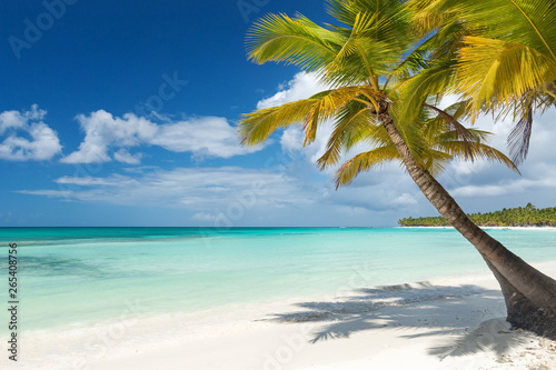 White sandy beach with sea and palms photo