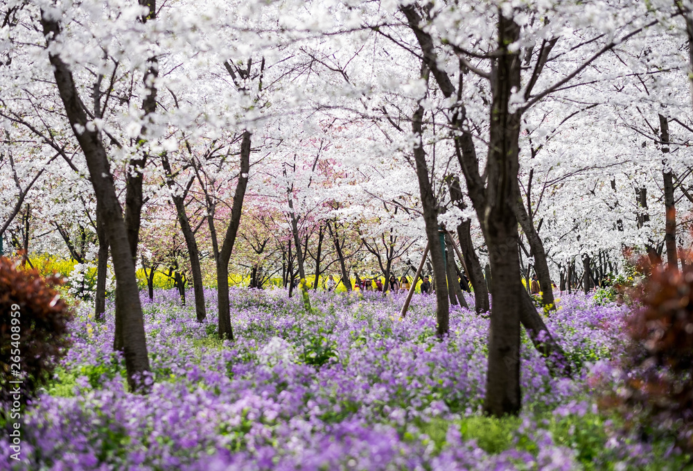 Many type of flower full blooming at the east lake park.