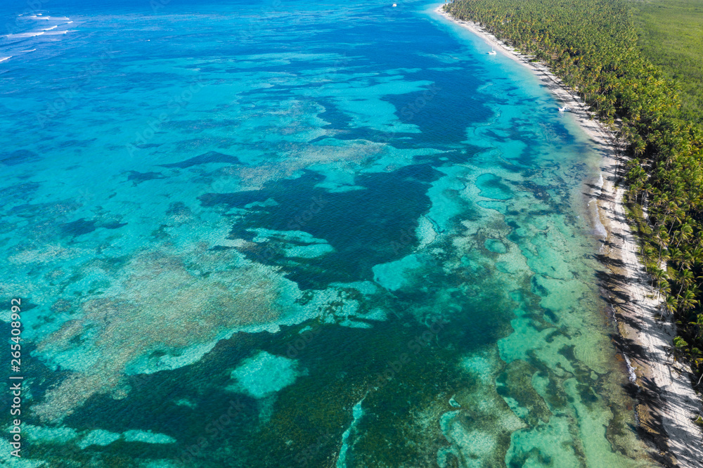 Aerial view from drone on tropical island with coconut palm trees and caribbean sea Aerial view from drone on tropical island with coconut palm trees and caribbean sea
