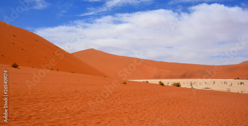 Foto Deadvlei is a white clay pan located near the more famous salt pan of Sossusvlei, inside the Namib-Naukluft Park in Namibia