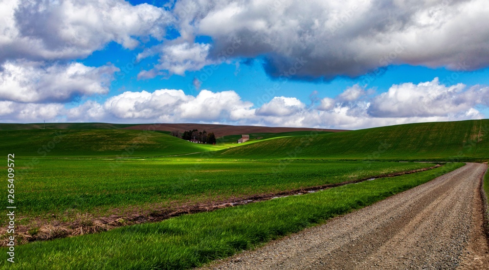 Sun light on barn in rolling hills of green grass with clouds